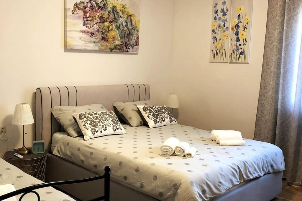 Lijepo Ureden Stan U Centru Grada Apartment Knin